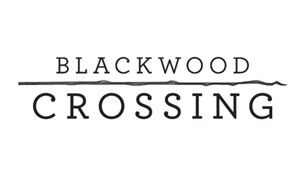 Download Blackwood Crossing v1.5-GOG